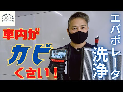 【エバポレータ交換】室内がカビ臭い！原因はこれ！VW専門店が洗浄していきます！